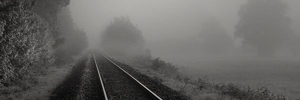PeterMad44's profile banner image
