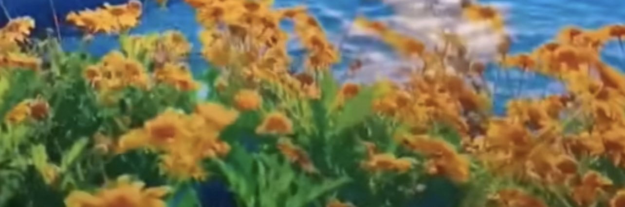 MsMicheletoyou's profile banner image