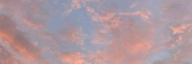 FlorDignoti's profile banner image