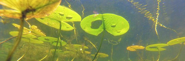 MidwestAPMS Profile Banner