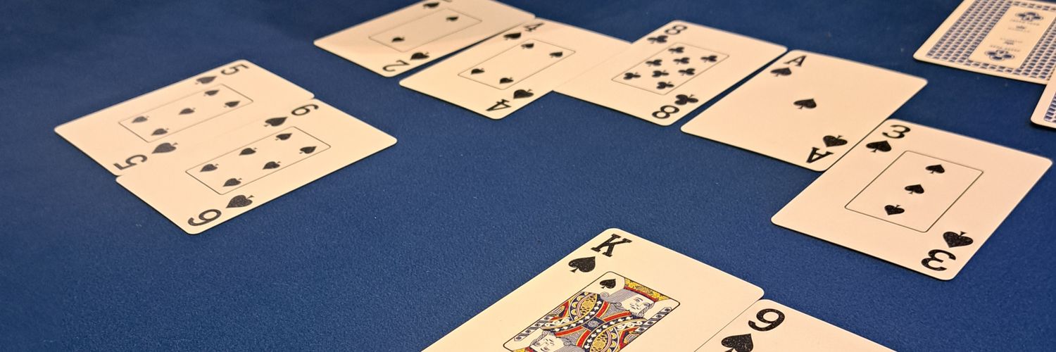 寝る(NeLuu) banner