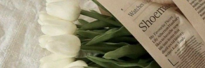 svftkook's profile banner image