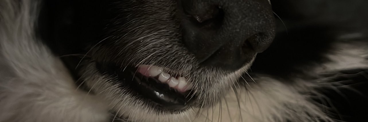 Testapaulina's profile banner image