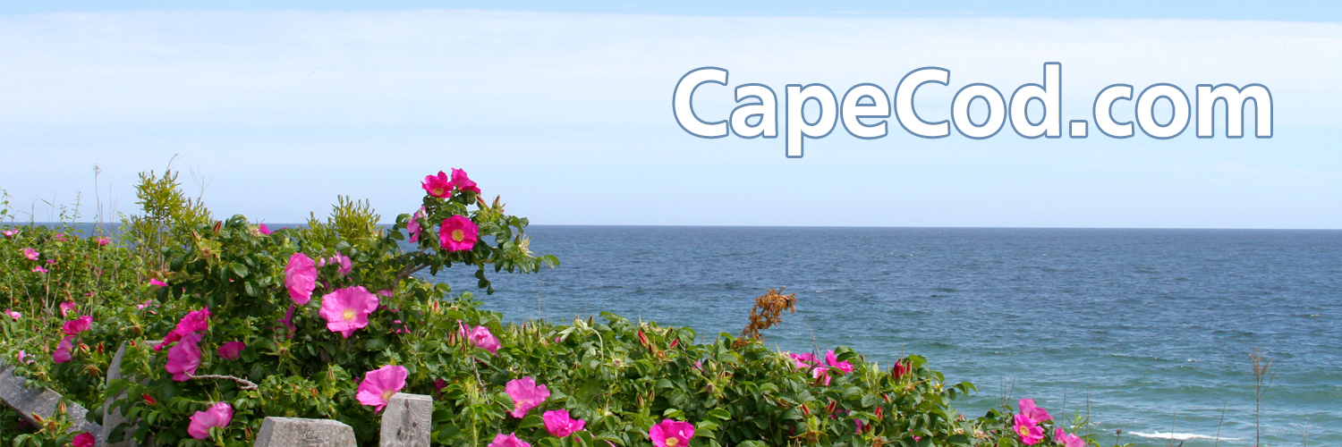 CapeCod.com banner