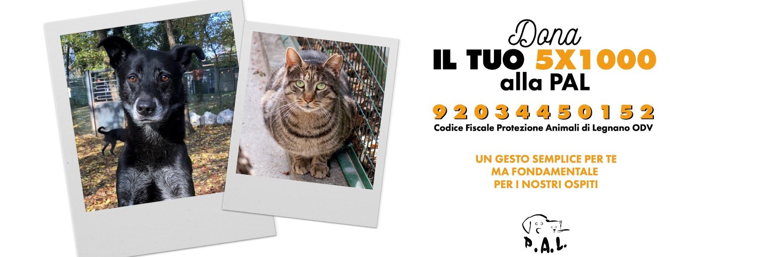 canilegnano's profile banner image