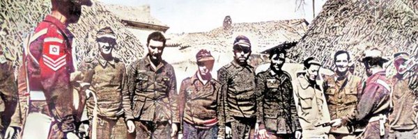 AdinHaykin1 Profile Banner