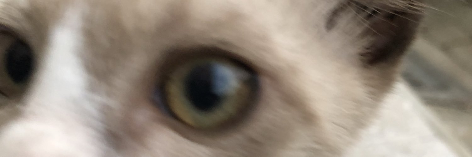 anitaypw's profile banner image