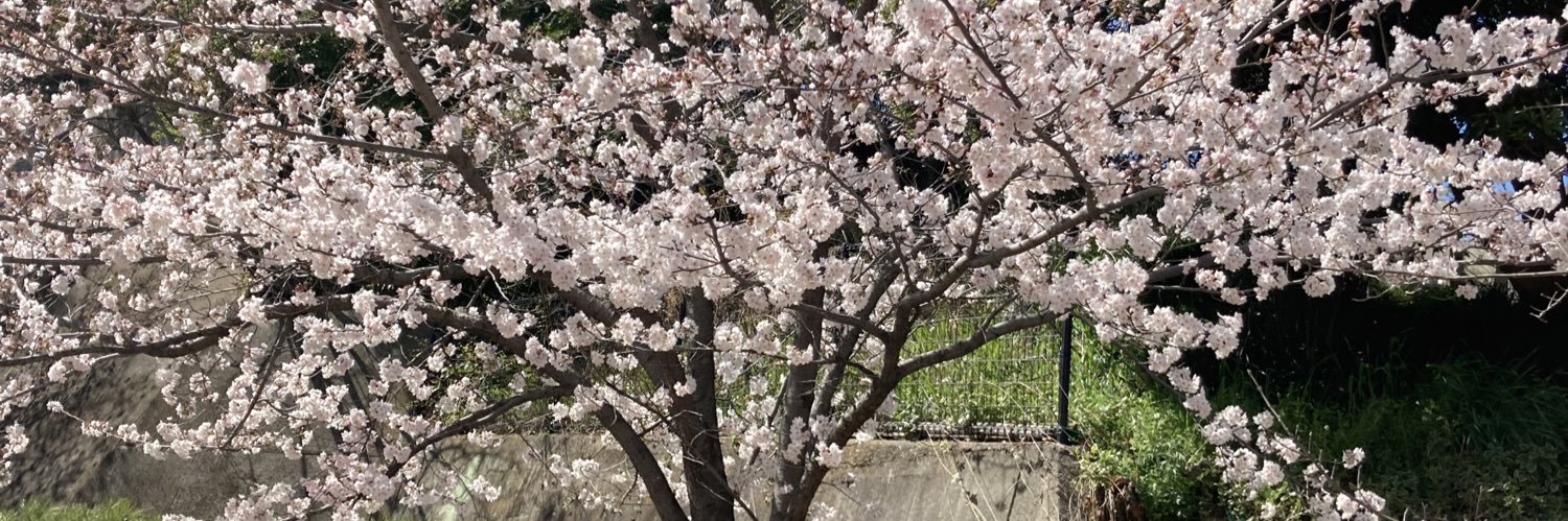 TozoHanoline's profile banner image
