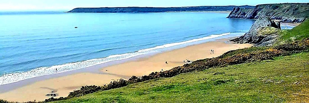 llanelli Scarlet banner