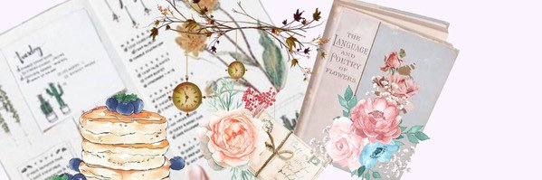 織都🌸千紗 banner