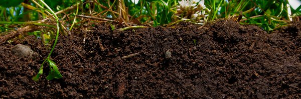 niels_corfield Profile Banner