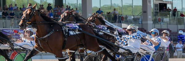 Meadows Standardbred Owners Association Profile Banner