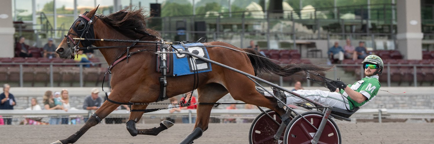 Meadows Standardbred Owners Association banner