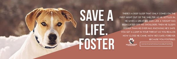 pawsitivematch Profile Banner