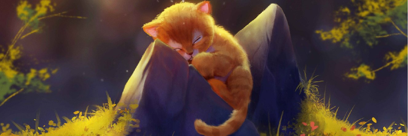 Kaiify Studio banner