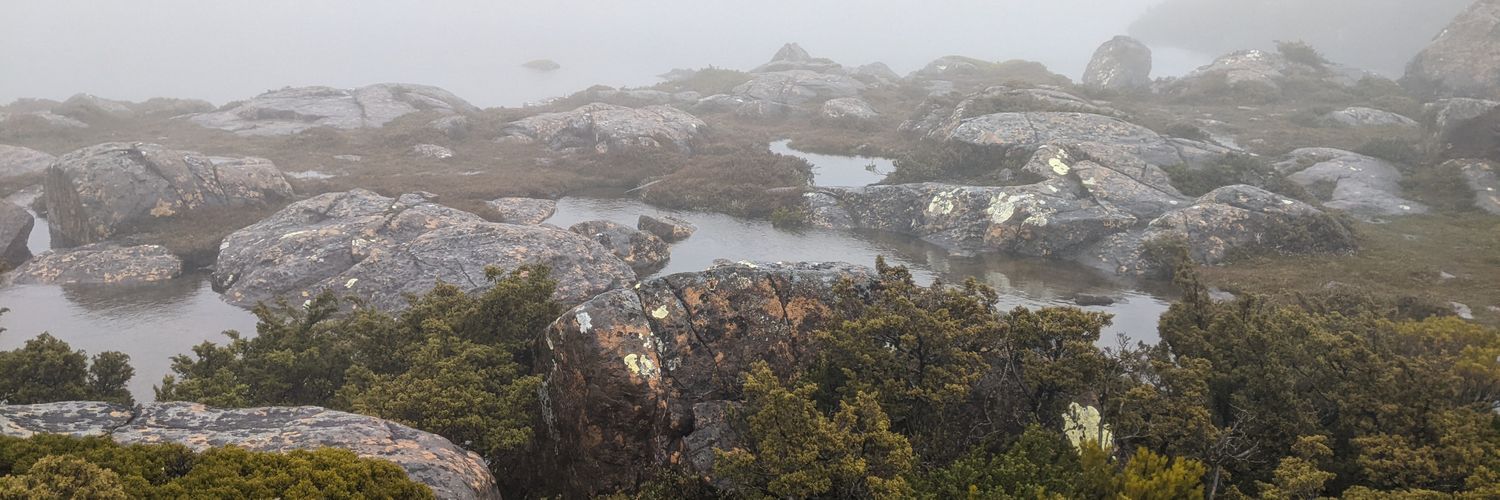 Michael James banner