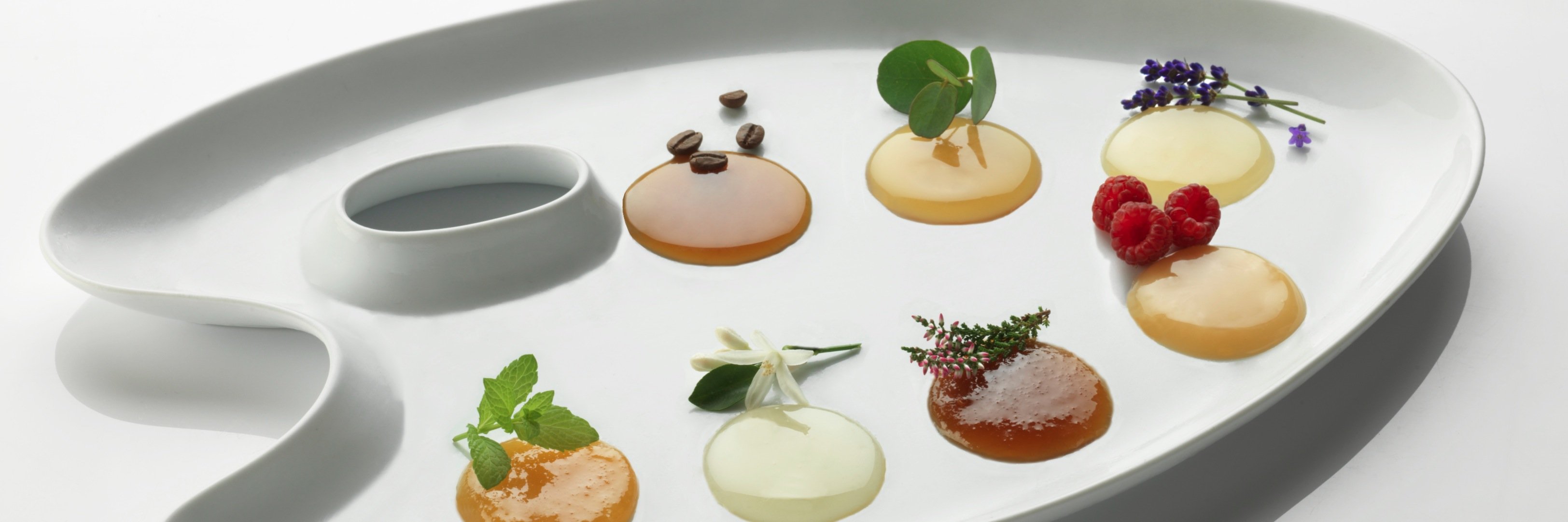 Alexandre Stern banner