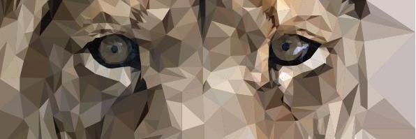 DavidBetaC's profile banner image