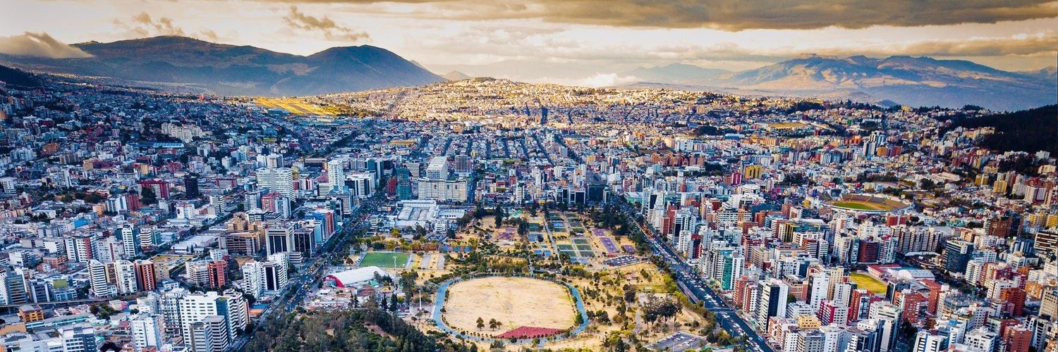 Andrea Flores Andino banner