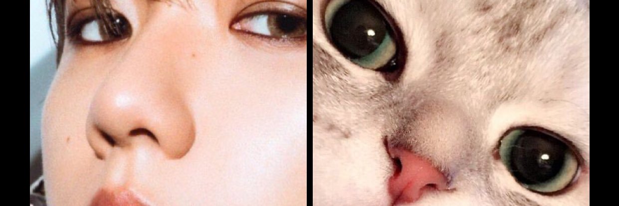 inooamko_'s profile banner image