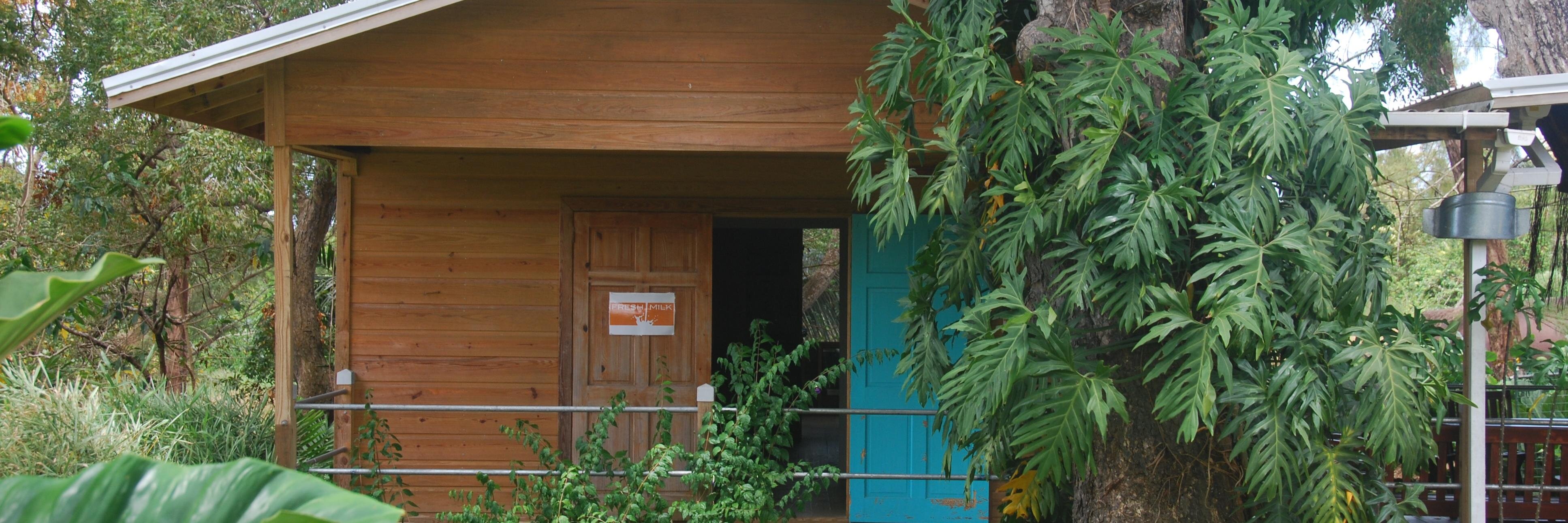 Fresh Milk Barbados banner