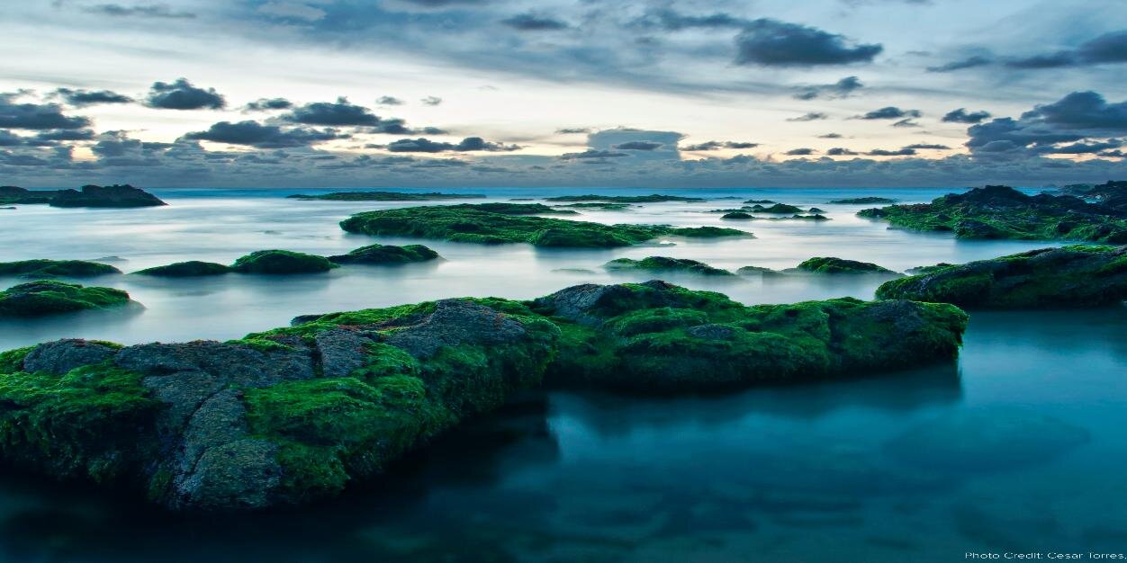 MillennialReach's profile banner image