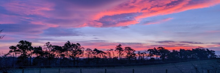 ralphaverbuch banner