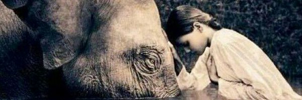 ElephantCafeUK Profile Banner