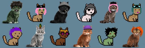 CryptoPunkCats Profile Banner
