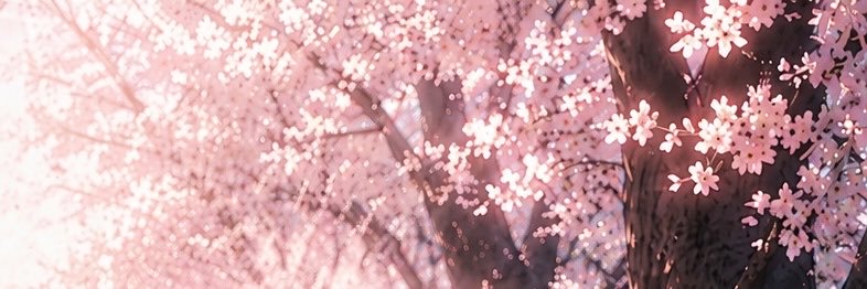 SakuraDropping's profile banner image
