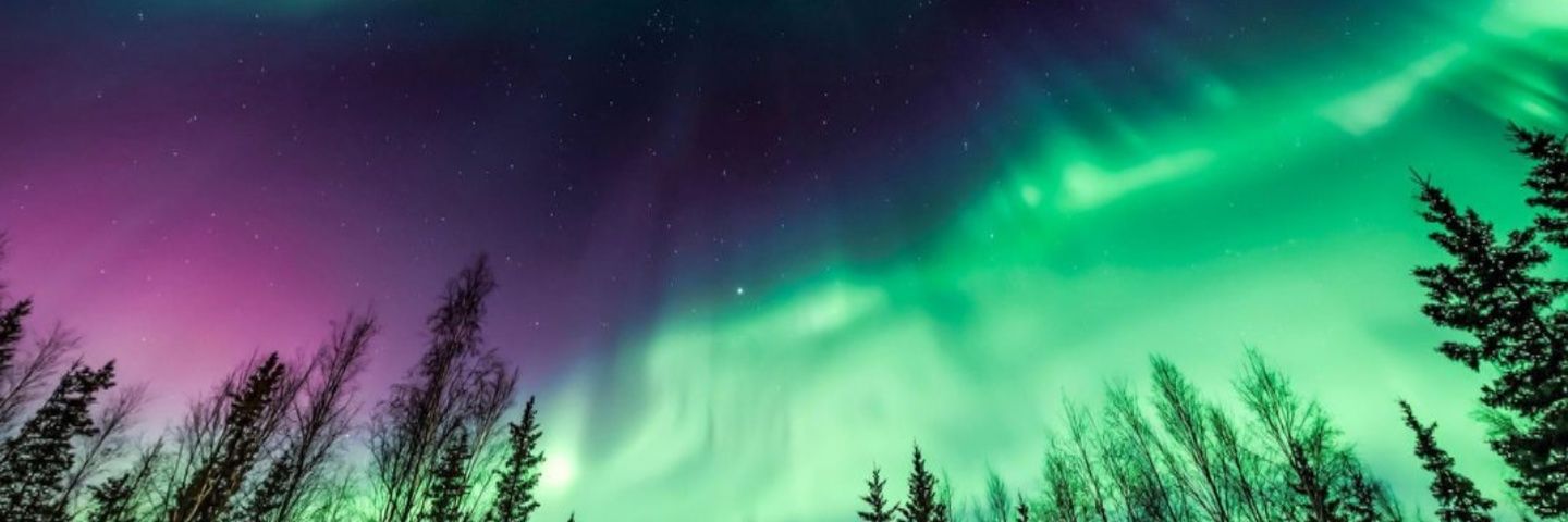 SharadiaTTV's profile banner image