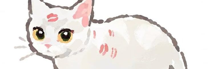 nzy banner