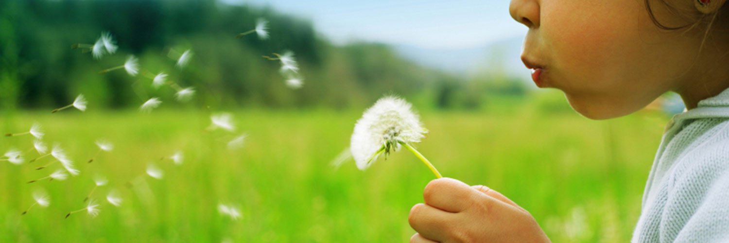 Ethical Superstore banner