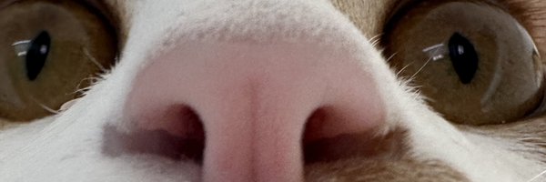 ee_cap Profile Banner