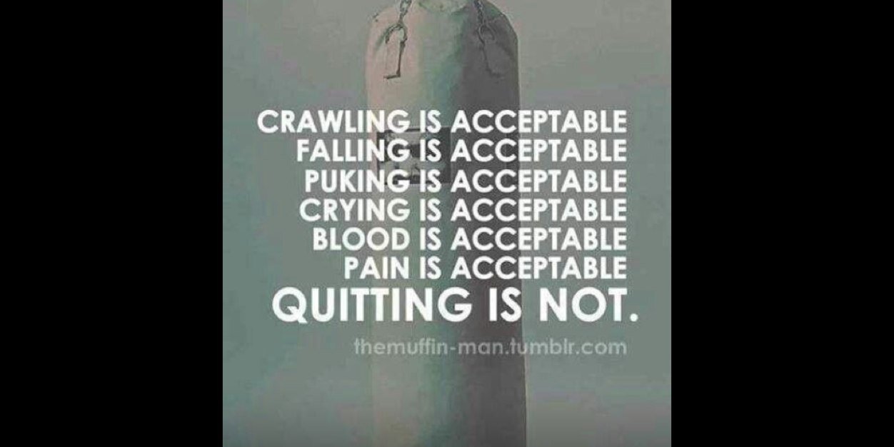 daniel tempest banner