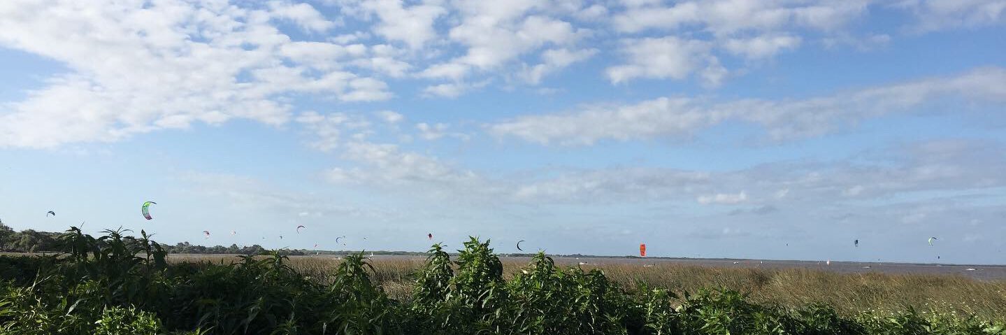 Samira Mohamad banner