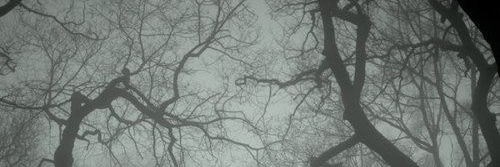 cynikal_'s profile banner image