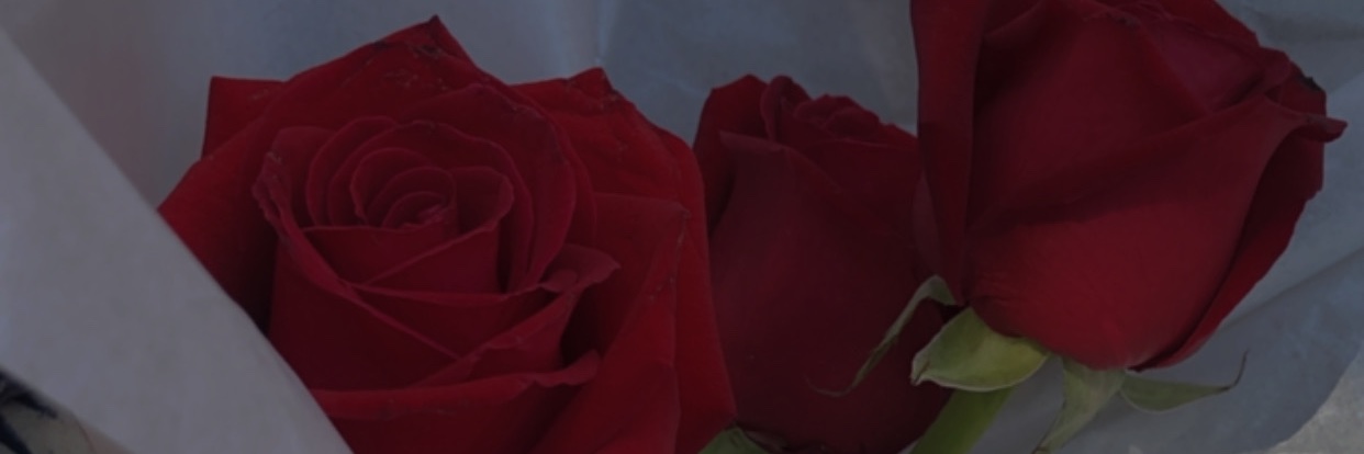 mvdume's profile banner image
