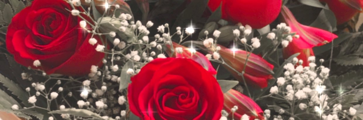 AliceHmello's profile banner image