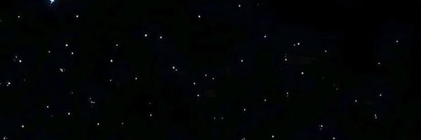 sillyladybugged Profile Banner