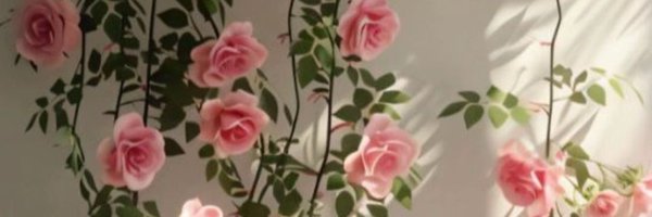 DsILIUn2X0rSbcR Profile Banner