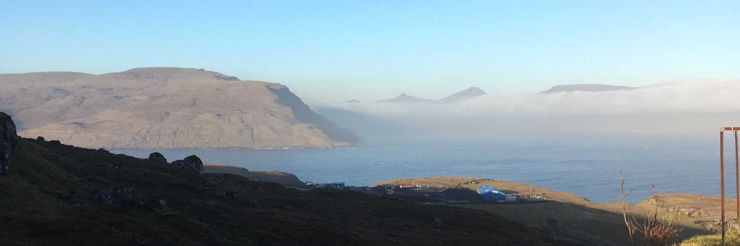 Magnus W. Møller banner