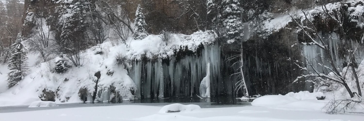 haleywittig's profile banner image