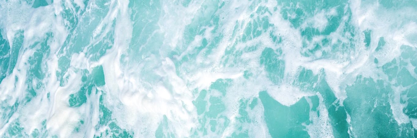 Bianca. banner