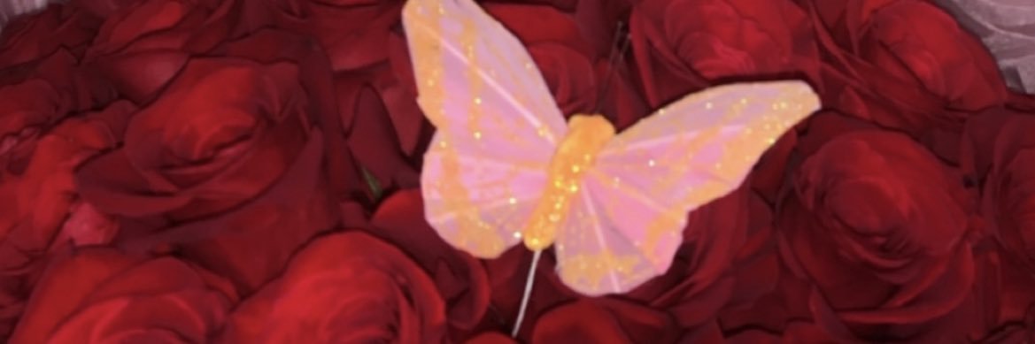 michelllegz's profile banner image