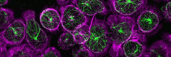 LabYuseff Profile Banner