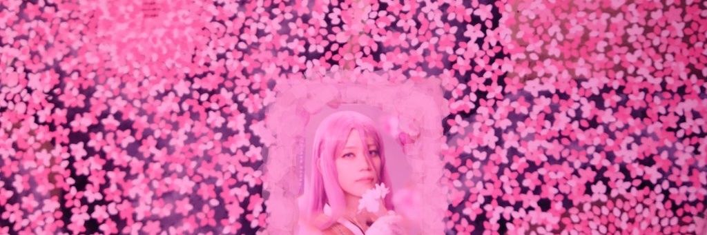 b1pach's profile banner image