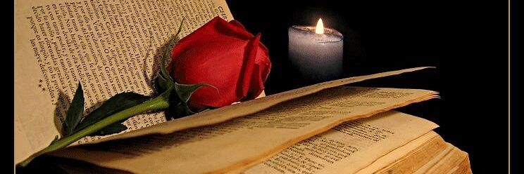 Cathleen_ESK's profile banner image