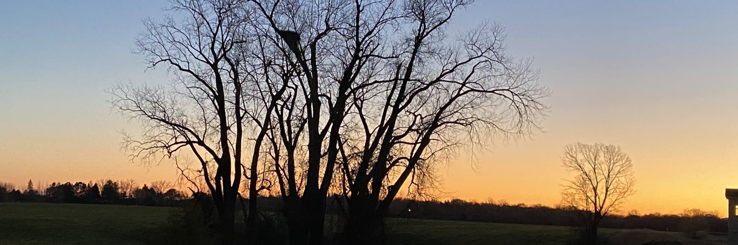 esamarie1's profile banner image