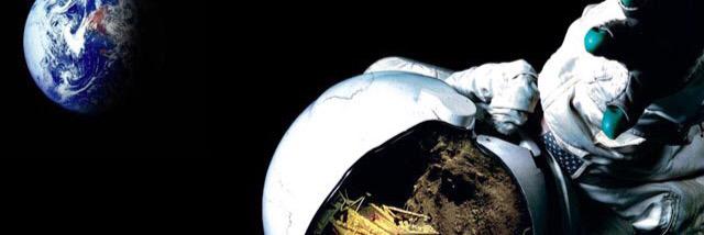 Trevor Mattson banner